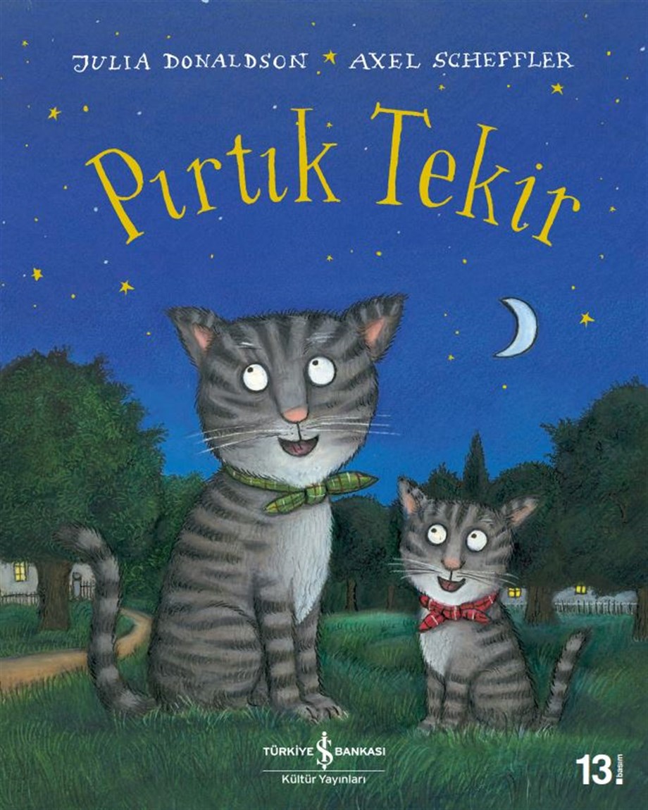 PIRTIK TEKİR