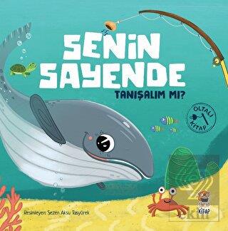 SENİN SAYENDE TANIŞALIM MI ?