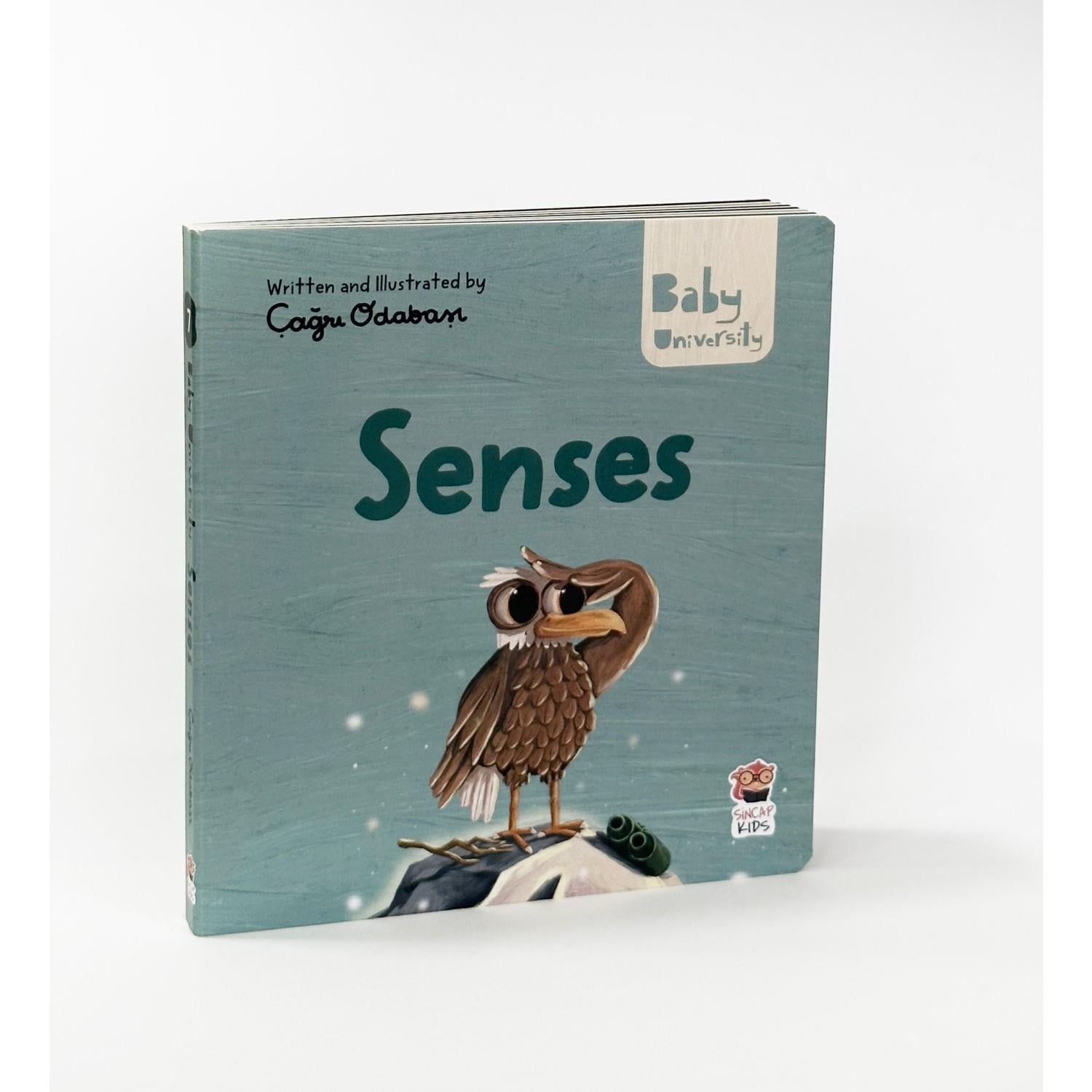 Senses - Baby University First Concepts Stories 2
