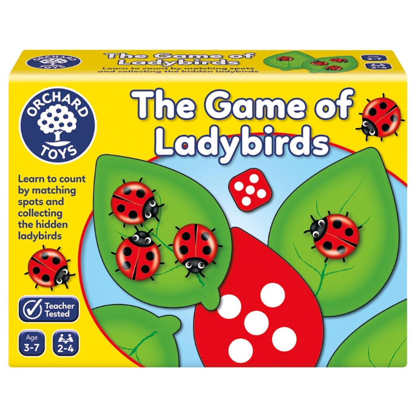 THE GAME OF LADYBIRD 3 - 7 YAŞ