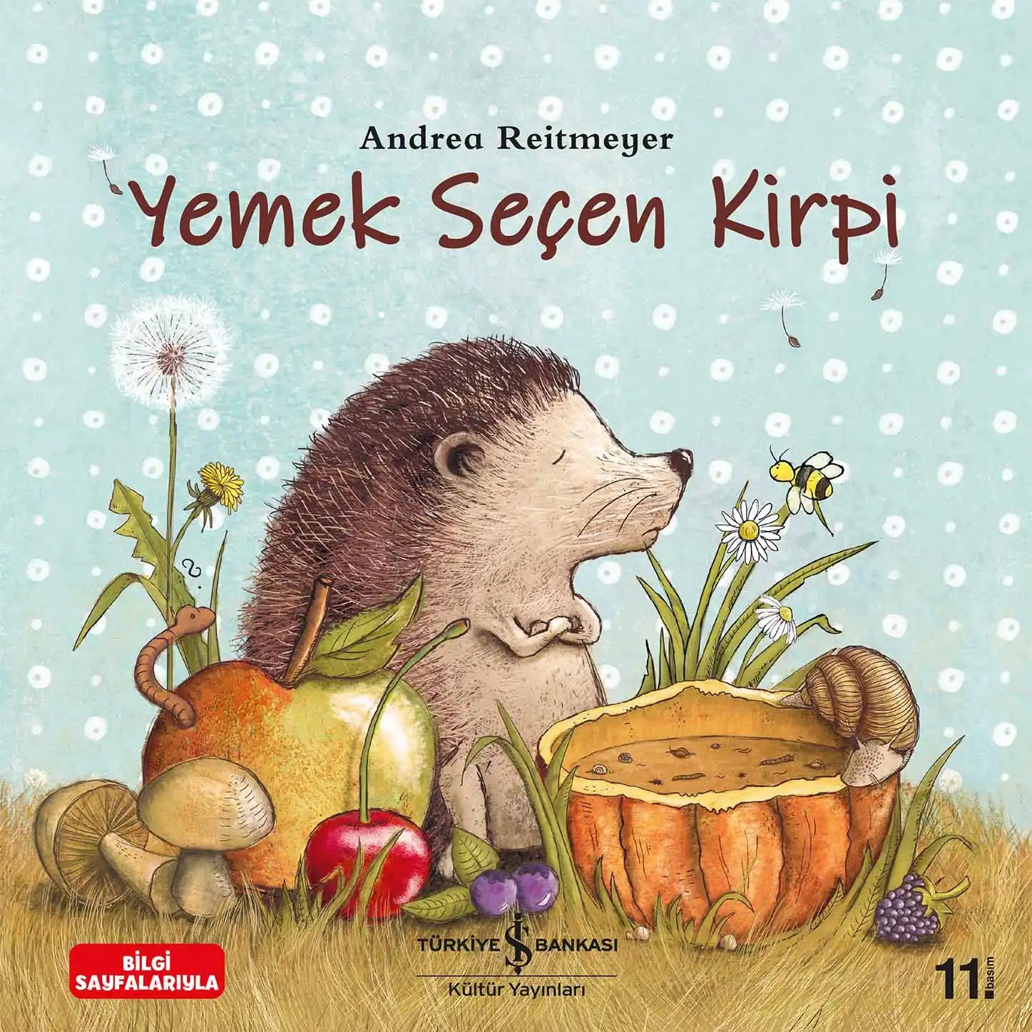 YEMEK SEÇEN KİRPİ