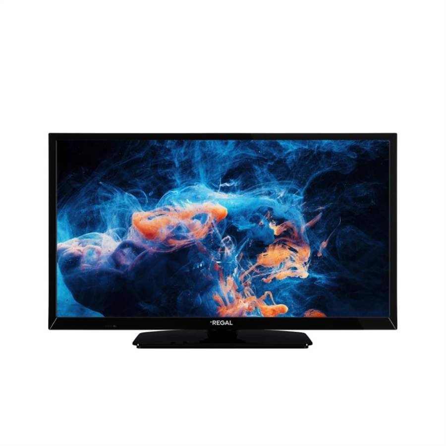 REGAL 24R604H UYDU ALICILI TV
