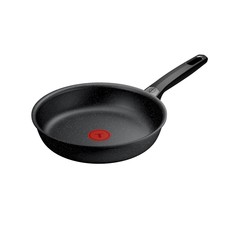 TEFAL EXPERTISEFUSIONCORETAVA24CM
