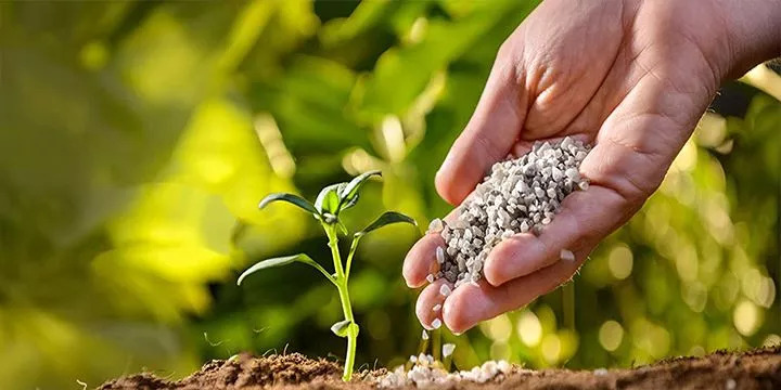 Yavaş Salınımlı Gübrenin Diğer Gübrelere Göre Avantajları