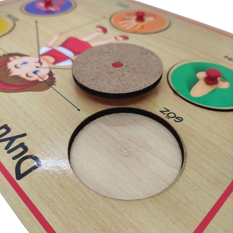 Ahşap Tutmalı Organlar Puzzle