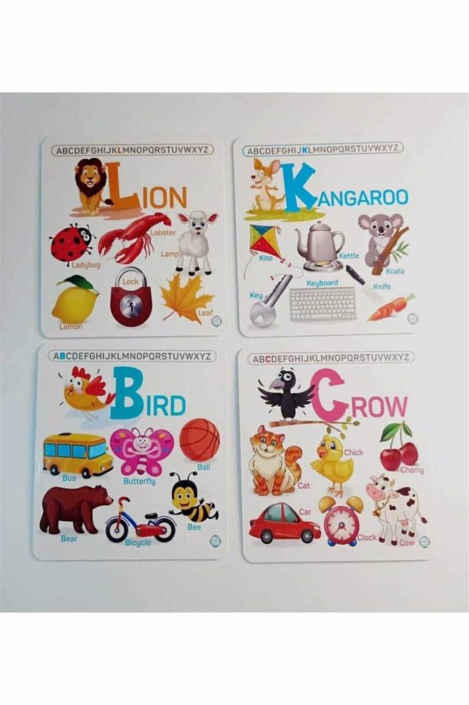 Circle Toys Englısh Alphabet