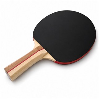 Masa Tenisi Raketi