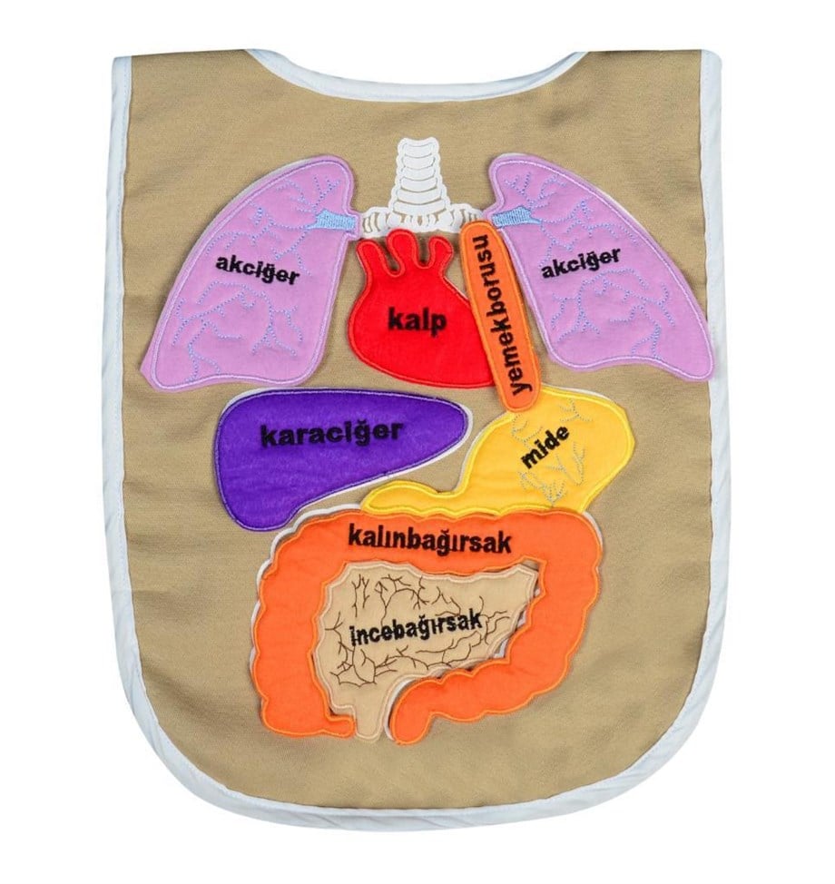 Organlar Önlüğü (Sökülüp Takılabilen)