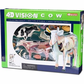 4D Master Vision Oyuncak İnek Anatomi Modeli