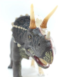 4D Master Vision Oyuncak Triceratops Anatomi Modeli