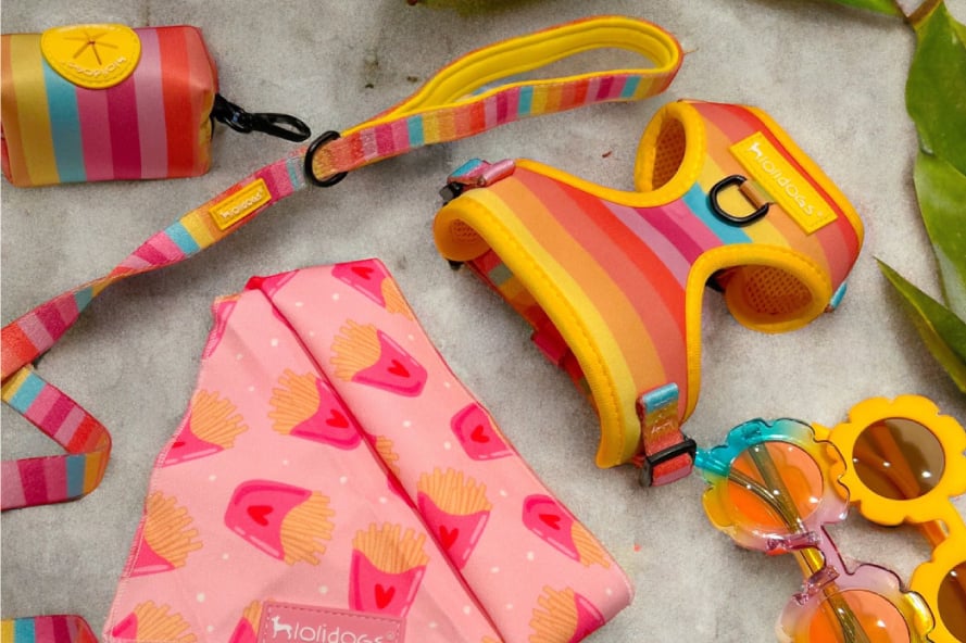 lolidogs moda