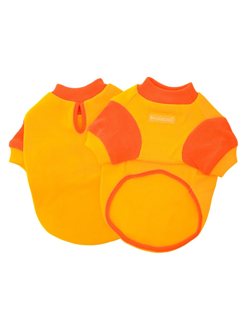 Lolidogs Basics | Solar