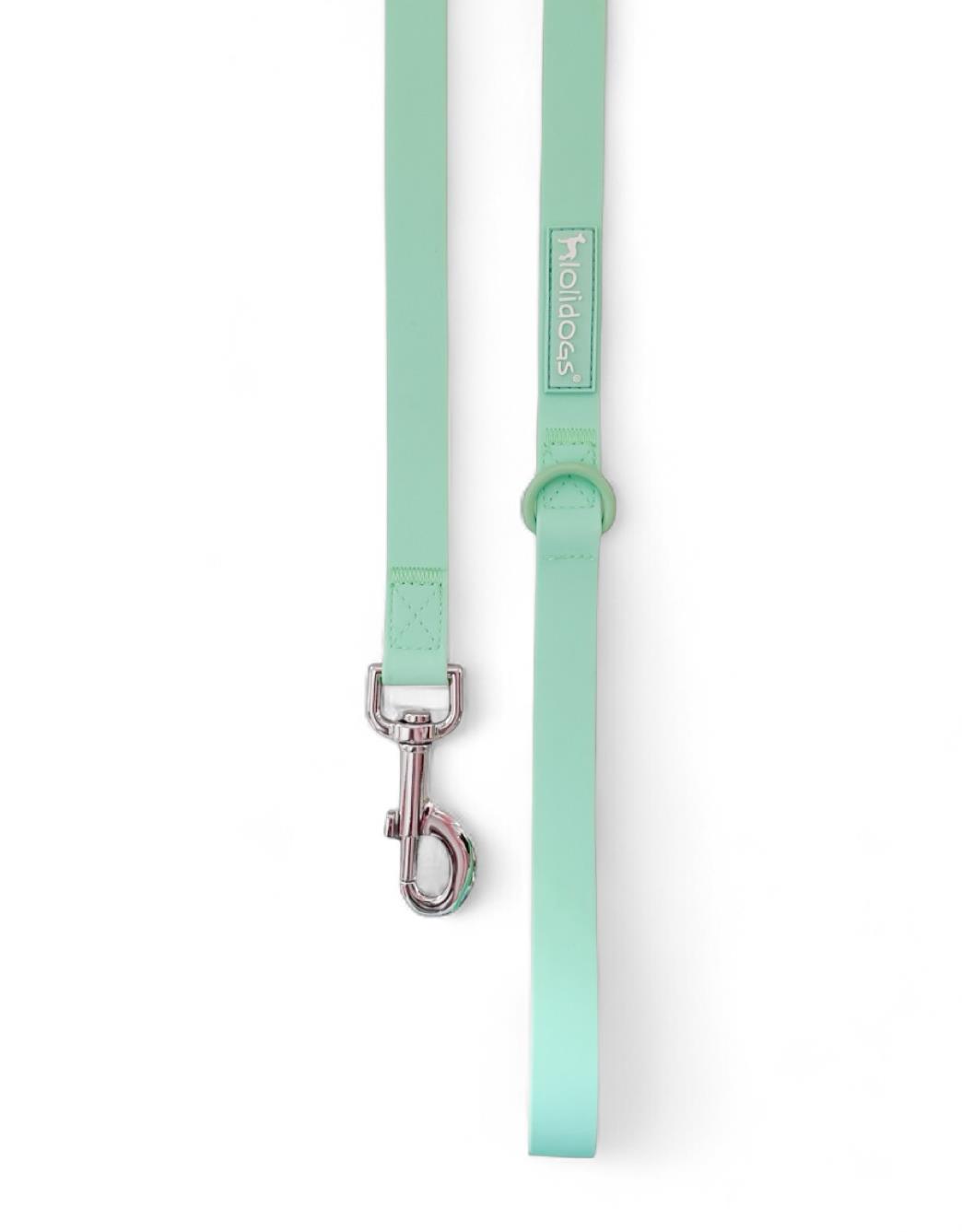 Lolidogs Dream Collection | Köpek Gezdirme Tasması Minty