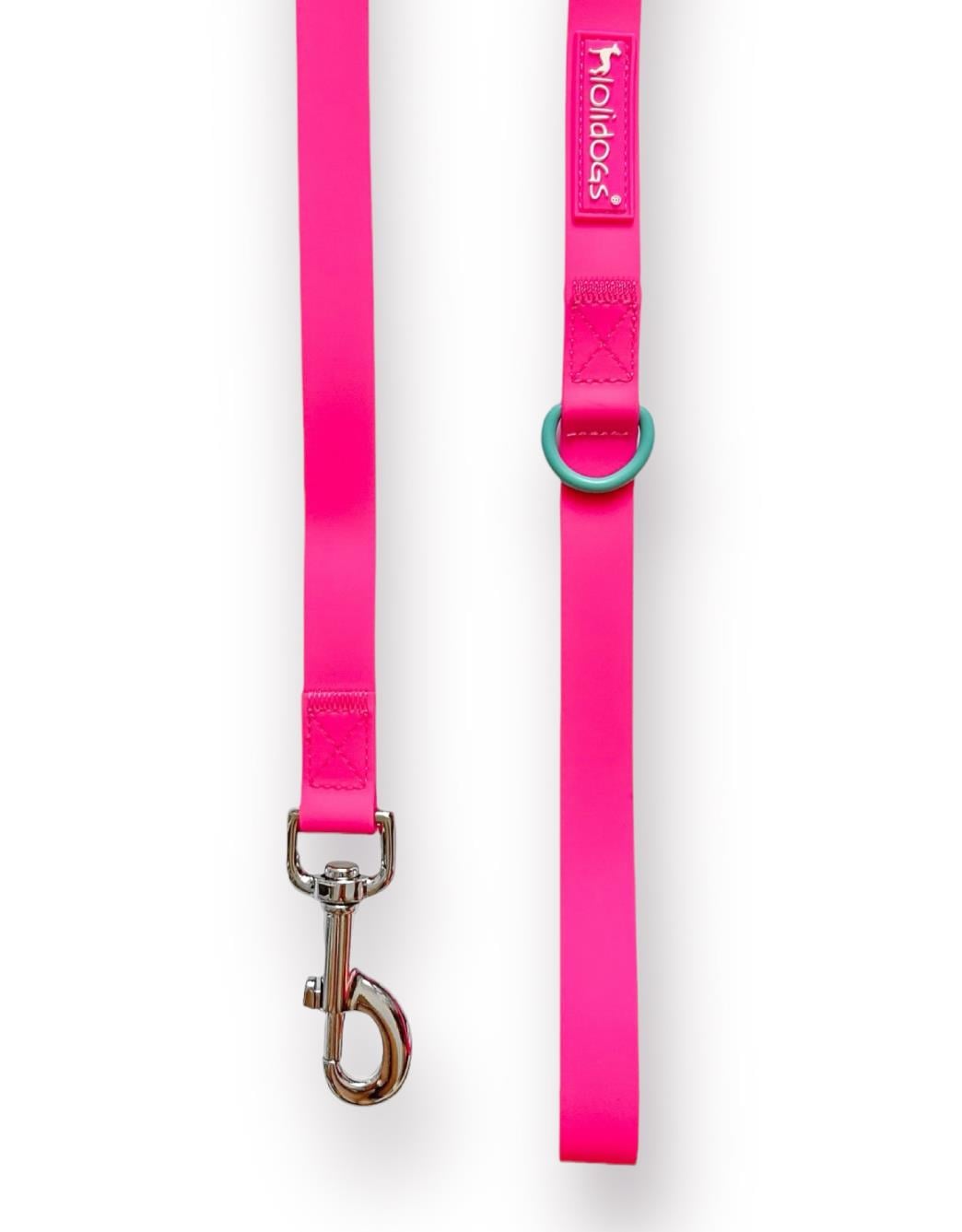 Lolidogs Jelly Collection Köpek Gezdirme Tasması Candy