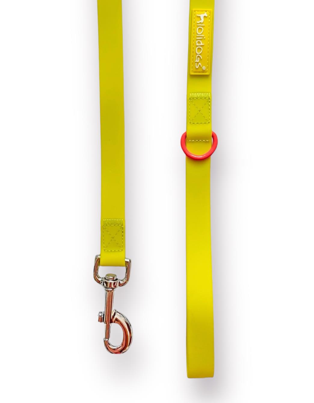 Lolidogs Jelly Collection Köpek Gezdirme Tasması Sunkiss