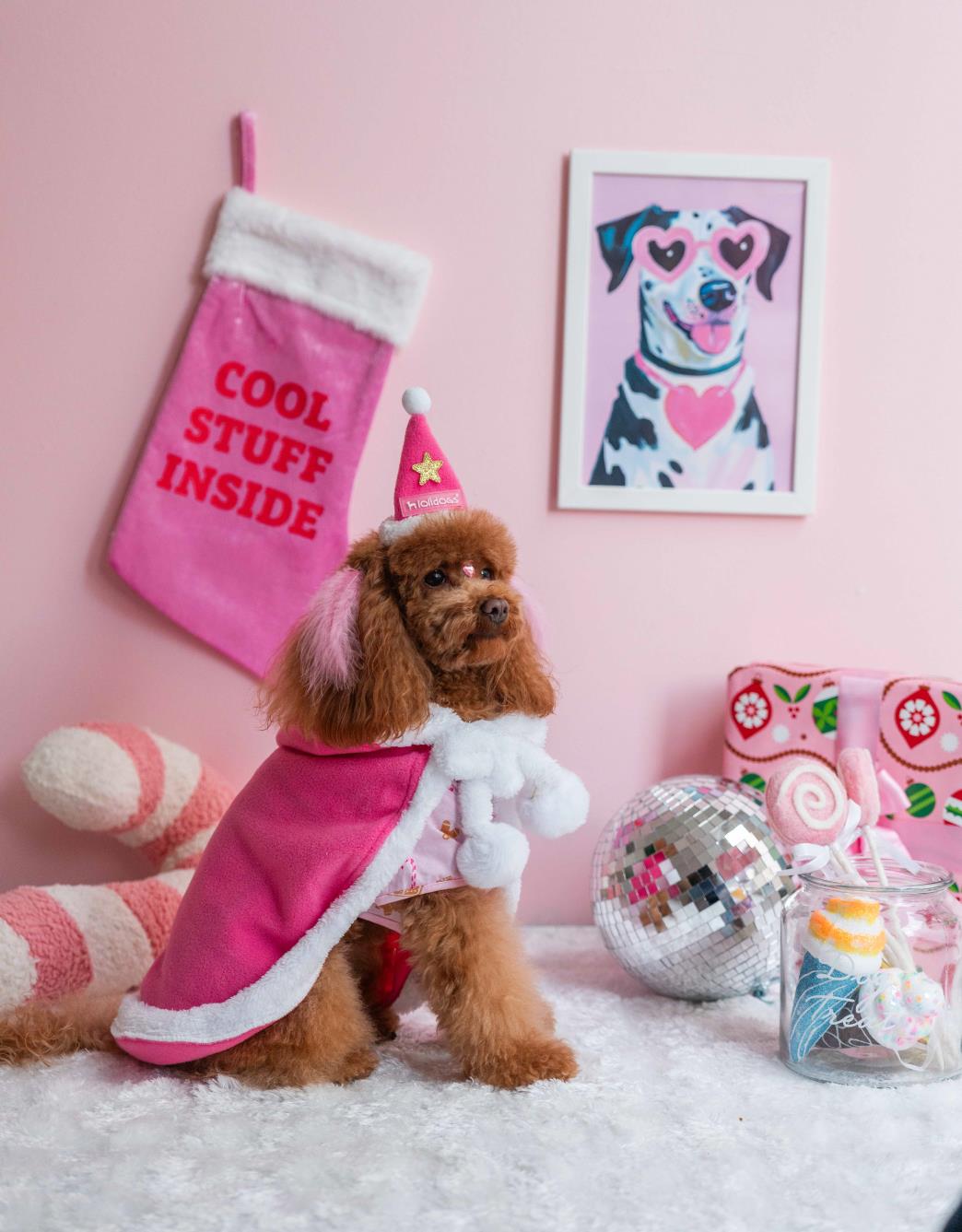 Lolidogs Köpek Polar Pelerin | Santa Cape Loli Pink