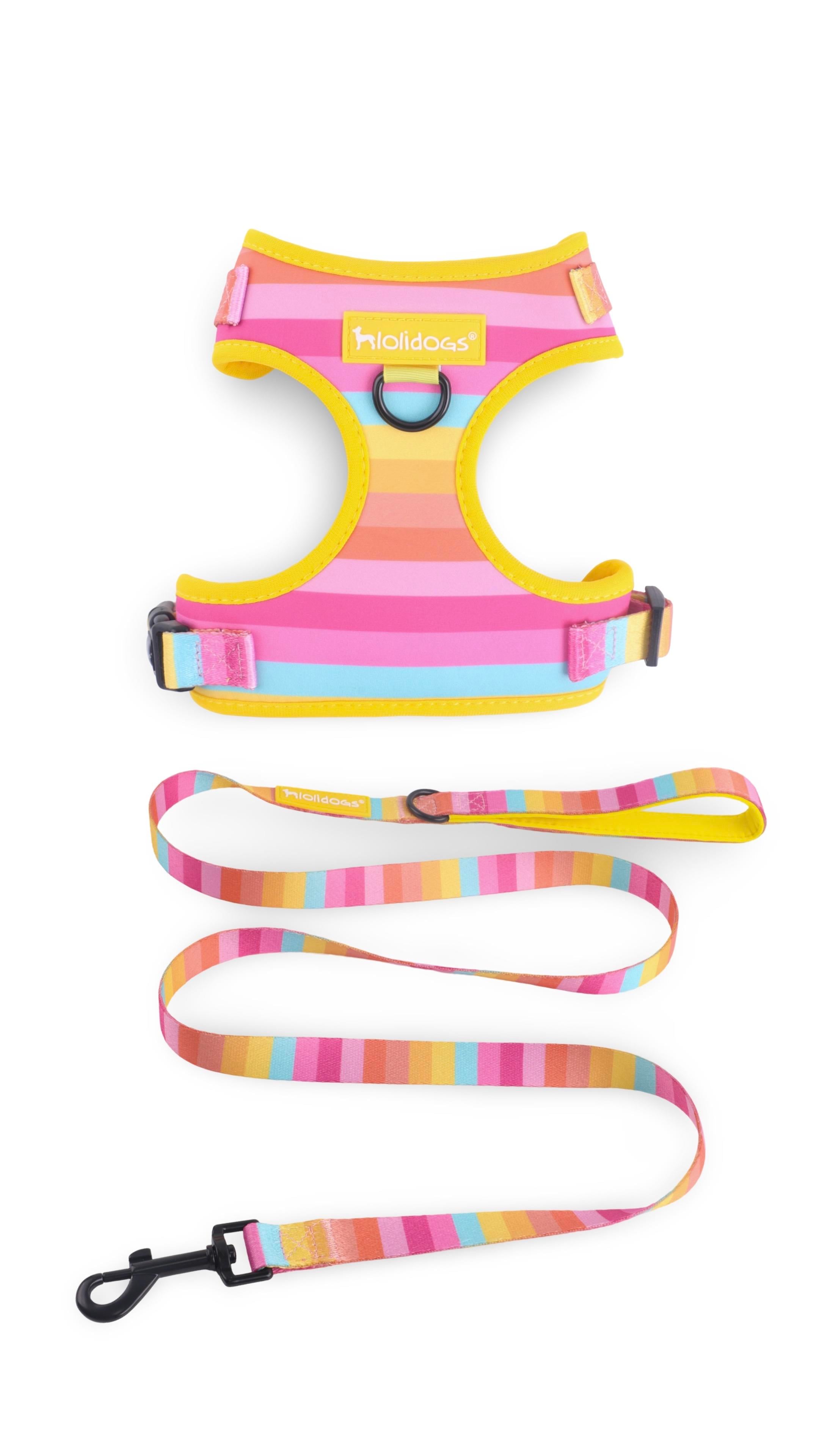 Lolidogs Köpek Göğüs Tasması ve Kayış Seti | Rainbow