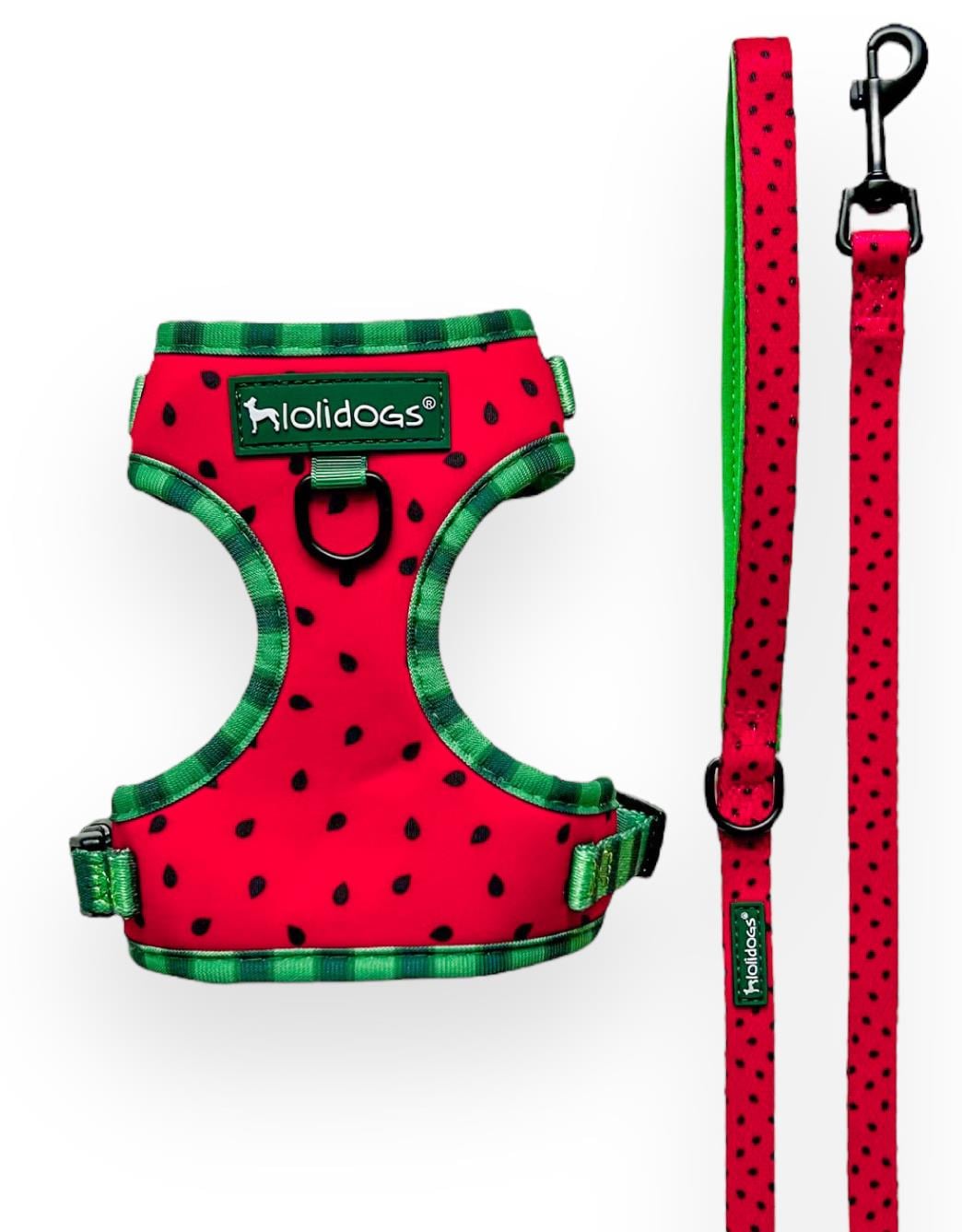 Lolidogs Watermelon Harness Set