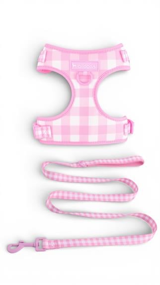 Lolidogs Köpek Göğüs Tasması ve Kayış Seti | Picnic