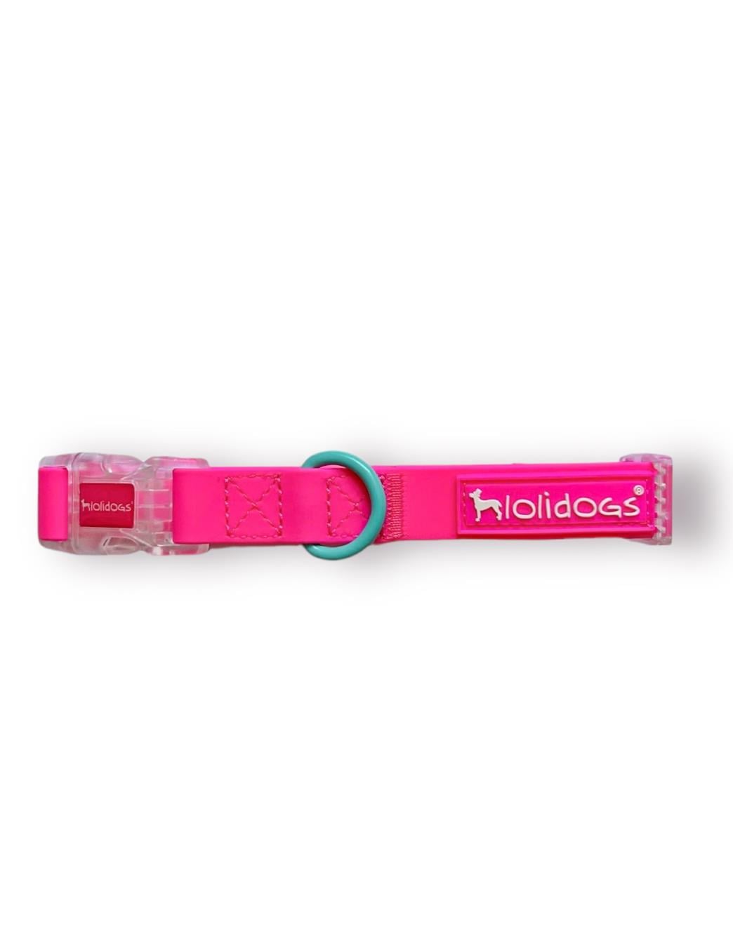 Lolidogs Jelly Collection Köpek Boyun Tasması Candy