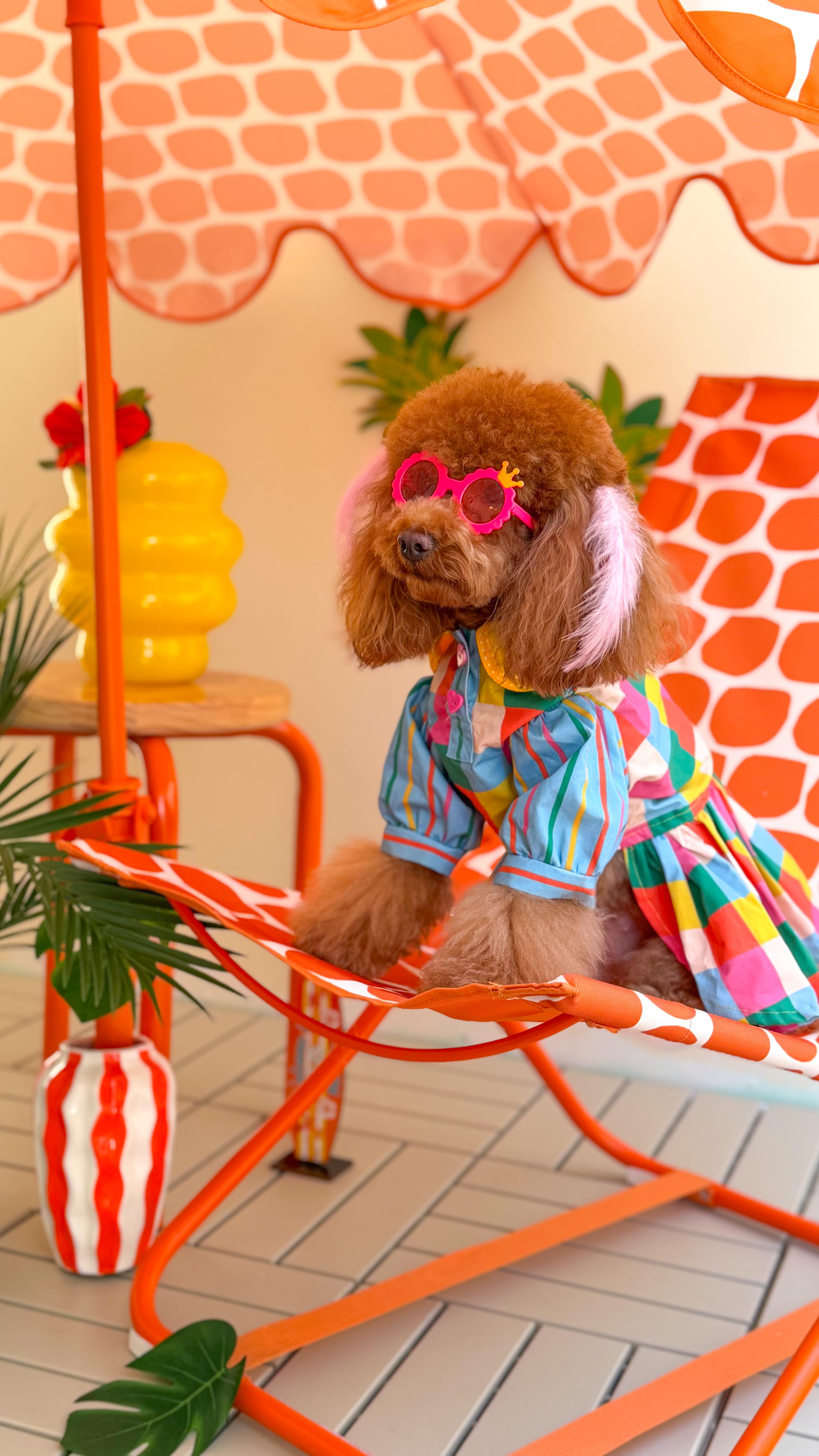 Lolidogs Köpek Elbisesi | Pixel Girl