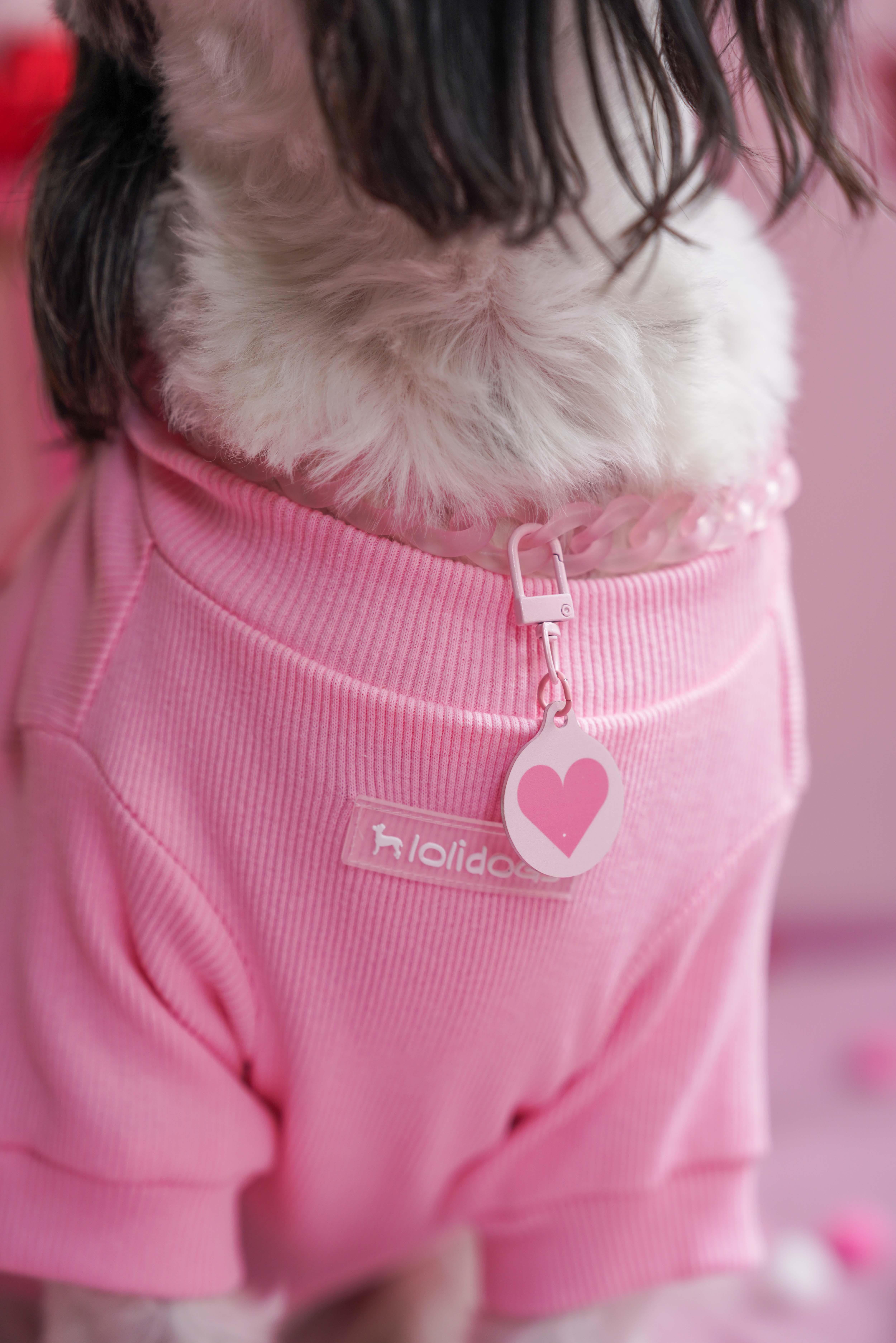 Lolidogs Köpek Künyesi | Loli Hearts Cupid
