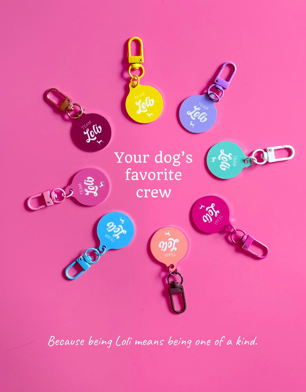 Lolidogs Köpek Tasma Aksesuarı | Team Loli 