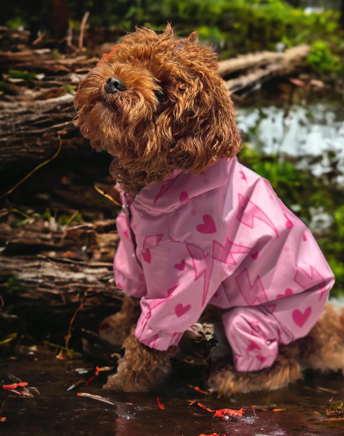 Cockapoo raincoat discount