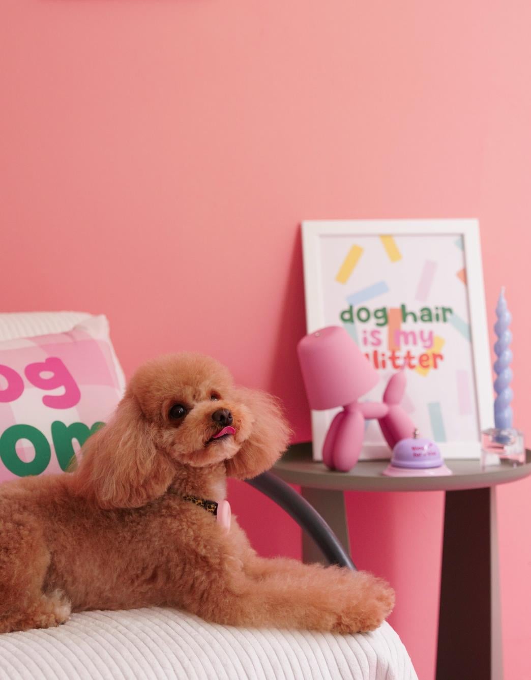 Lolidogs Home Collection | Dog Hair is my Glitter Poster A4