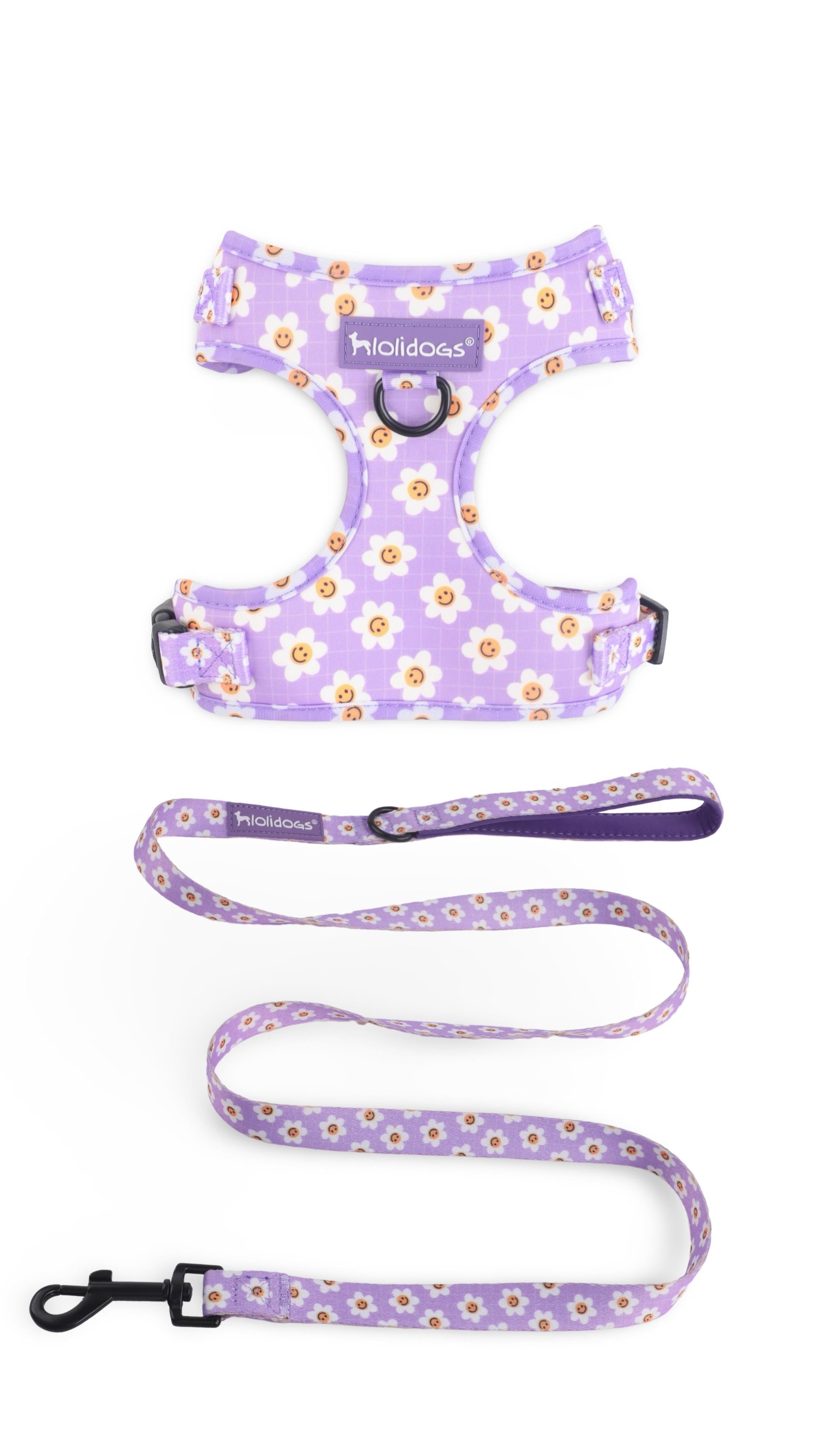 Lolidogs Daisy Harness Set