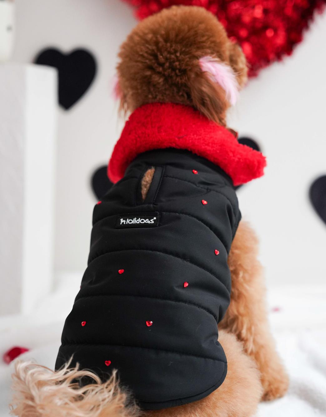 Lolidogs Köpek Montu | Amour