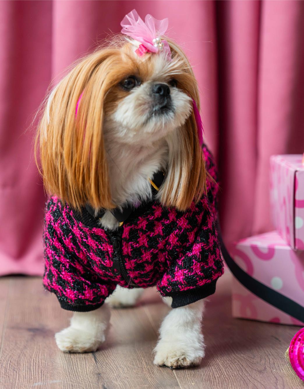 Lolidogs Köpek Montu | Sassy