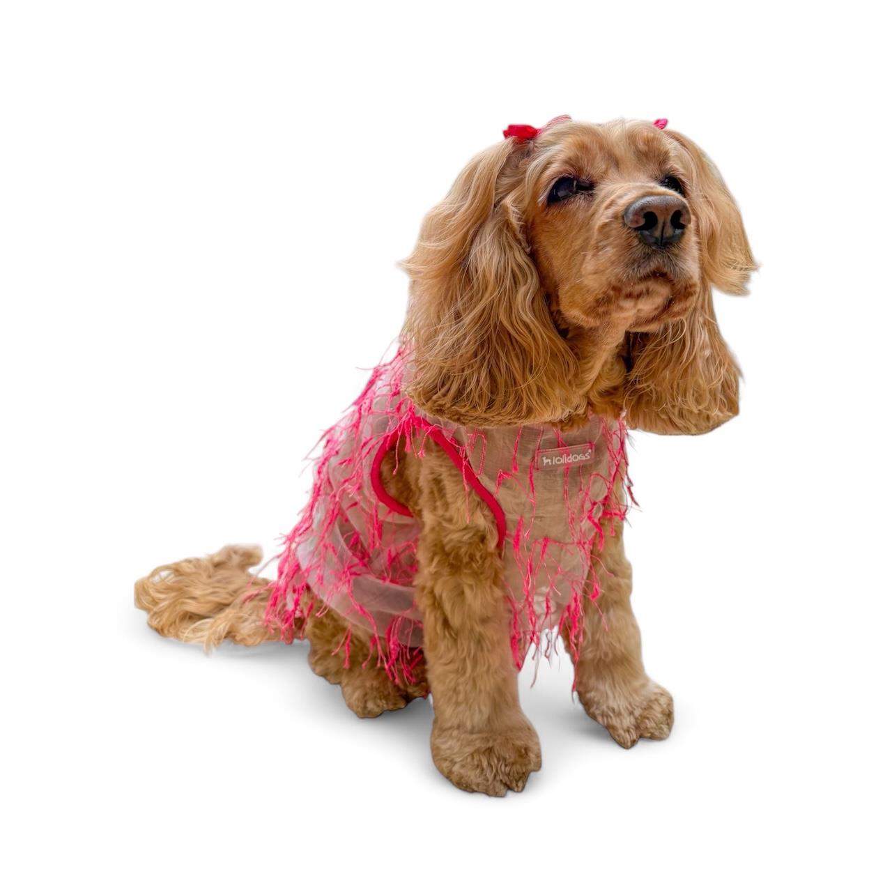 Lolidogs Furringe Köpek Tshirtü Fuşya