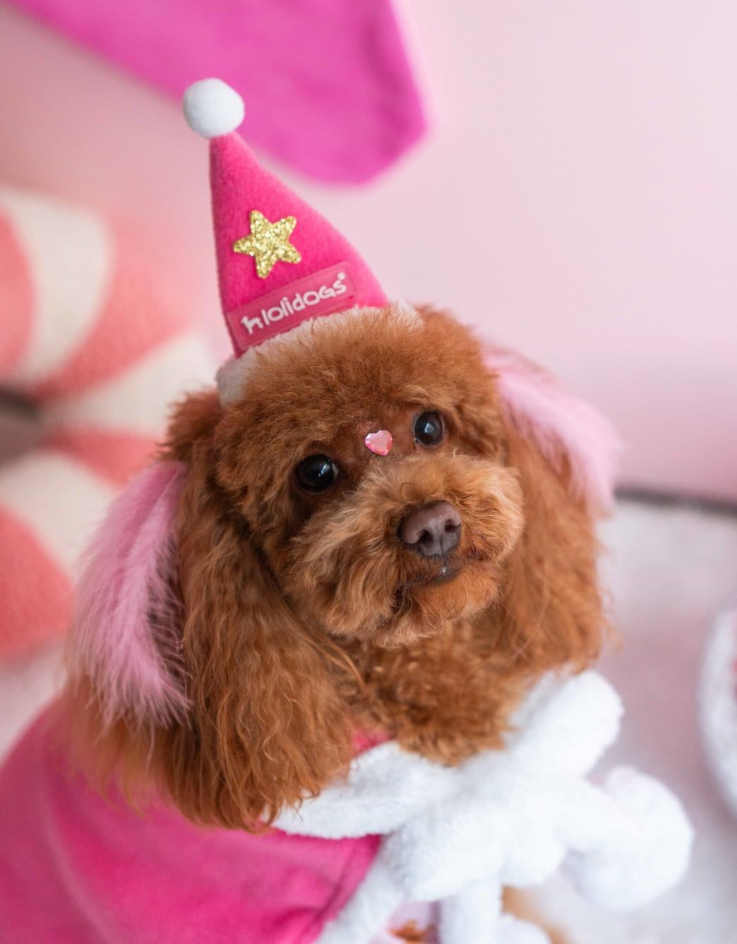 Lolidogs Köpek Yılbaşı Şapkası | Loli Pink