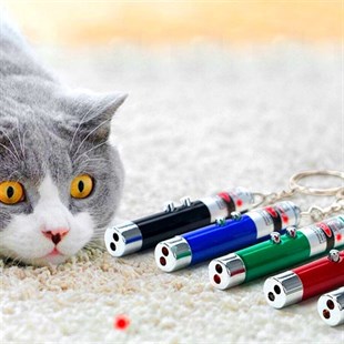 BUFFER®  3 Fonksiyonlu Kırmızı Beyaz Işıklı Led Lazer Kedi Köpek Oyuncak Anahtarlık