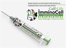 Ecolife Calf-life Immunocell