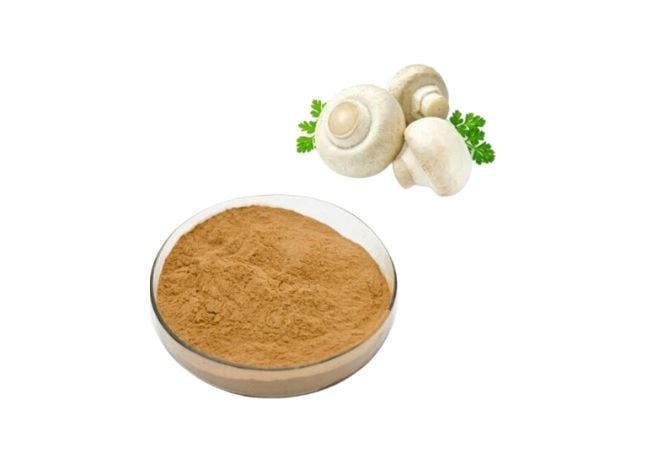 Agaricus Mantarının Kediler İçin Önemi ve Faydaları