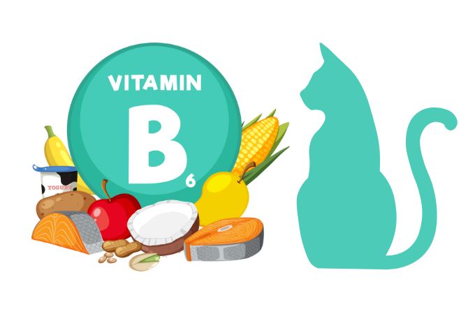B6 Vitamini Nedir, Faydaları Nelerdir?
