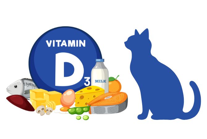 D3 Vitamini Nedir, Faydaları Nelerdir?