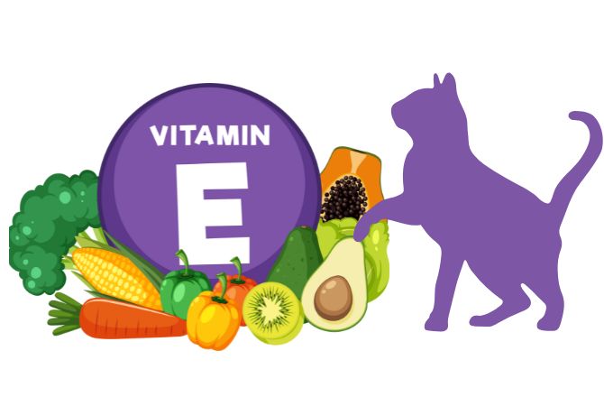 E Vitamini Nedir, Faydaları Nelerdir?