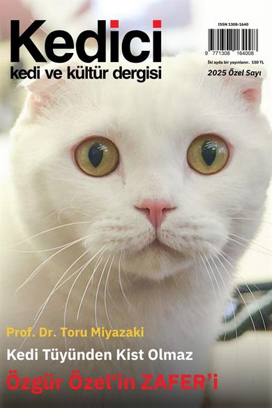 Kedici Dergisi