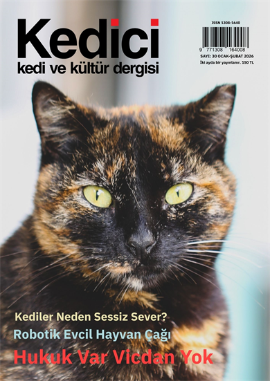Kedici Dergisi Sayı: 30 Ocak-Şubat 2026
