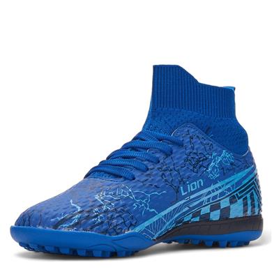 LİON_M_H.S_571 SAKS_LACİ