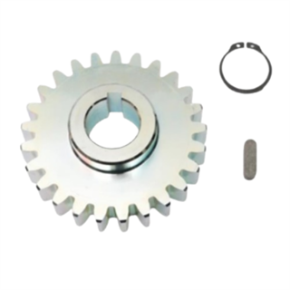 Bft Ares-Icaro Dış Dişli (25) Kamalı