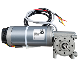 Kormas 24V DC 100W Encoderli Fotoselli Kapı Motoru
