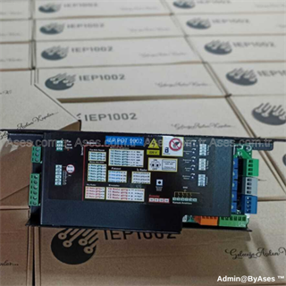 IEP 1002© Fotoselli Kapı Kontrol Kartı (İşlemci)