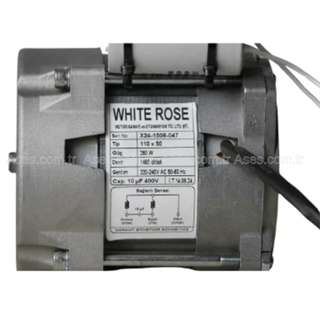 White Rose Active AC 220V Yedek iç Motor