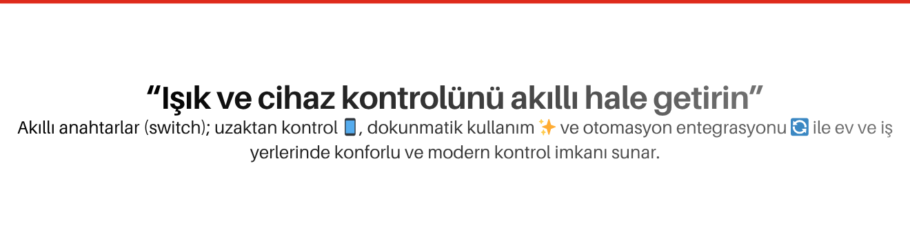 Akıllı Anahtarlar (Switch)