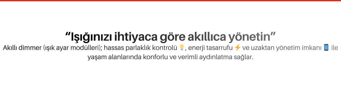 Akıllı Dimmer