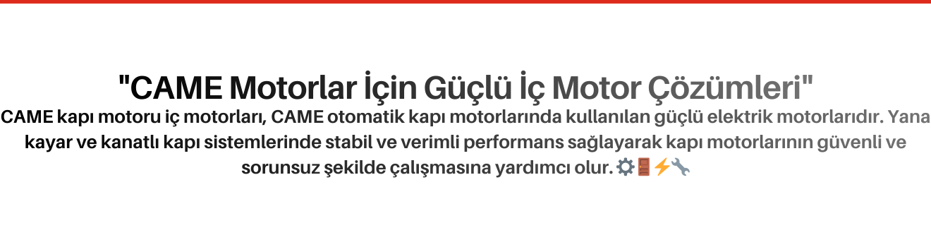 CAME Kapı Motoru İç Motorları